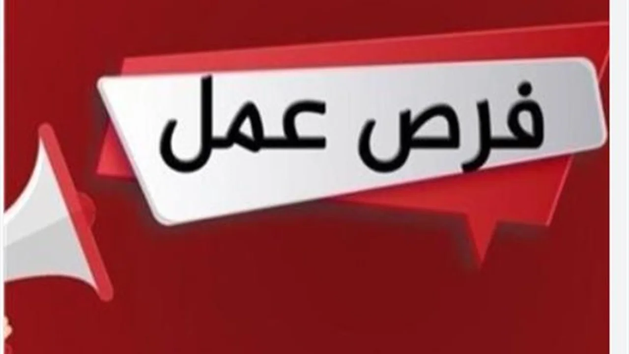 وظائف جديدة.. طرق التقديم لوظائف وزارة العمل في 6 أكتوبر